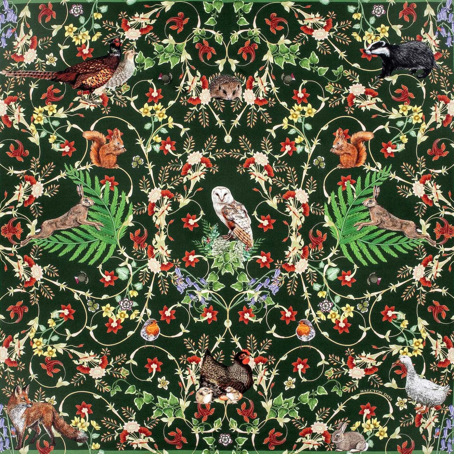 Celebration Of The Natural World Silk Scarf