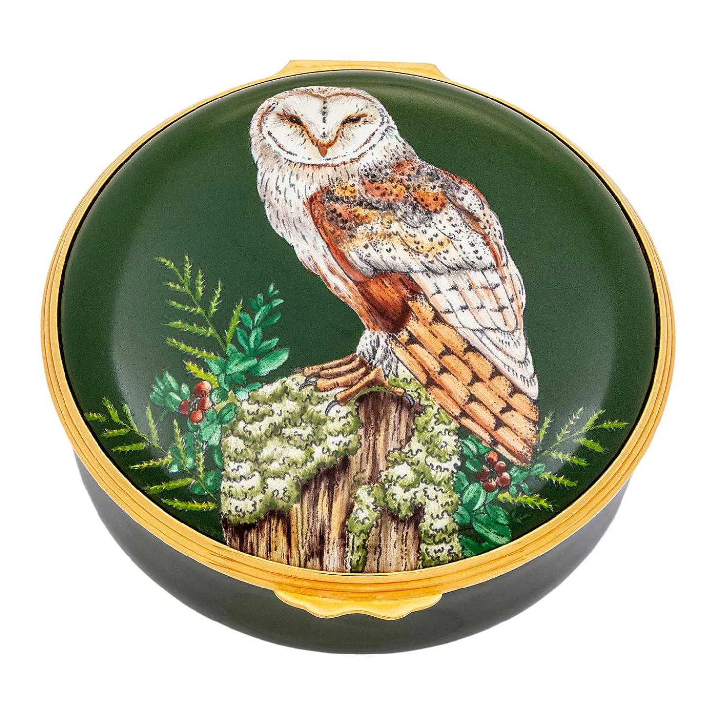 Woodland Wildlife Owl Enamel Box